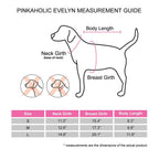 Pinkaholic York NASD-JP7513-AQ-L Evelyn Pet Coat, Aqua, Large