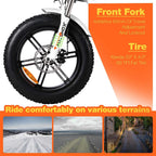 Addmotor M-66 R7 Electric Bike, 20" Fat Tire Electric Bicycle with Long Banana Style Seat, 750W 48V 14Ah Removable Battery and Charger, 23MPH High Speed Cruiser E-Bike