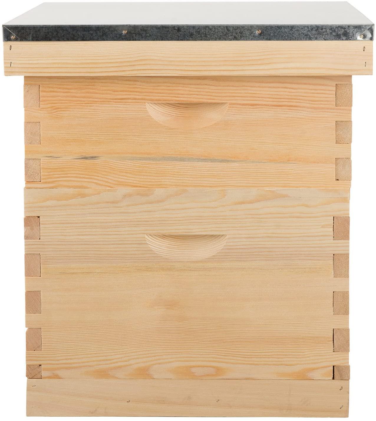 terradise bee hive, 2 layer honey bee hives, beekeeping supplies beehive kit with 10 medium 10 deep honeycomb foundation frames, bee house bee boxes for starter, wood complete honey beehives kit