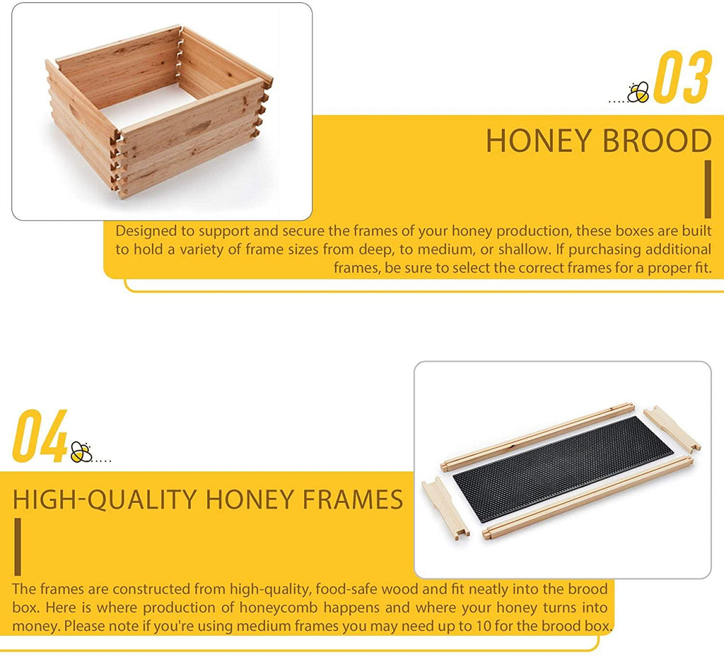 terradise bee hive, 2 layer honey bee hives, beekeeping supplies beehive kit with 10 medium 10 deep honeycomb foundation frames, bee house bee boxes for starter, wood complete honey beehives kit