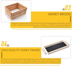 terradise bee hive, 2 layer honey bee hives, beekeeping supplies beehive kit with 10 medium 10 deep honeycomb foundation frames, bee house bee boxes for starter, wood complete honey beehives kit