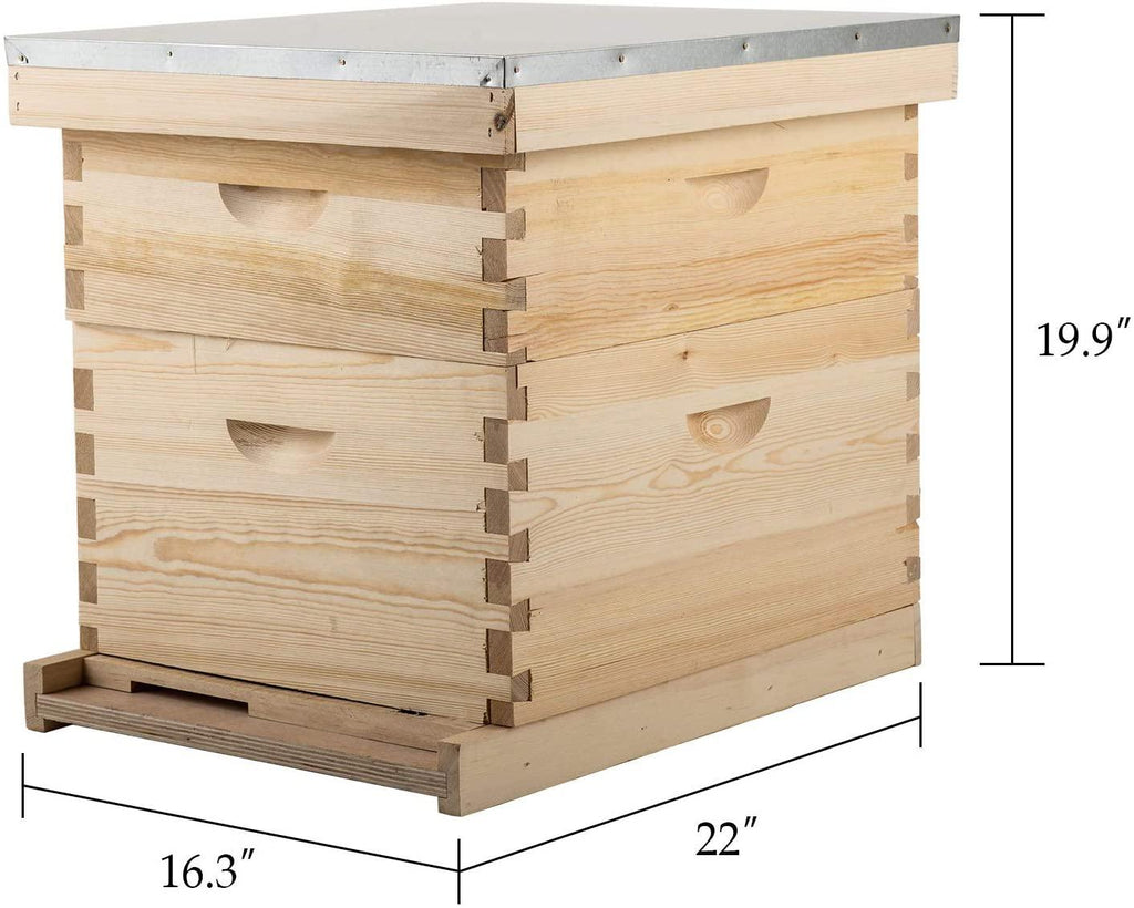 terradise bee hive, 2 layer honey bee hives, beekeeping supplies beehive kit with 10 medium 10 deep honeycomb foundation frames, bee house bee boxes for starter, wood complete honey beehives kit