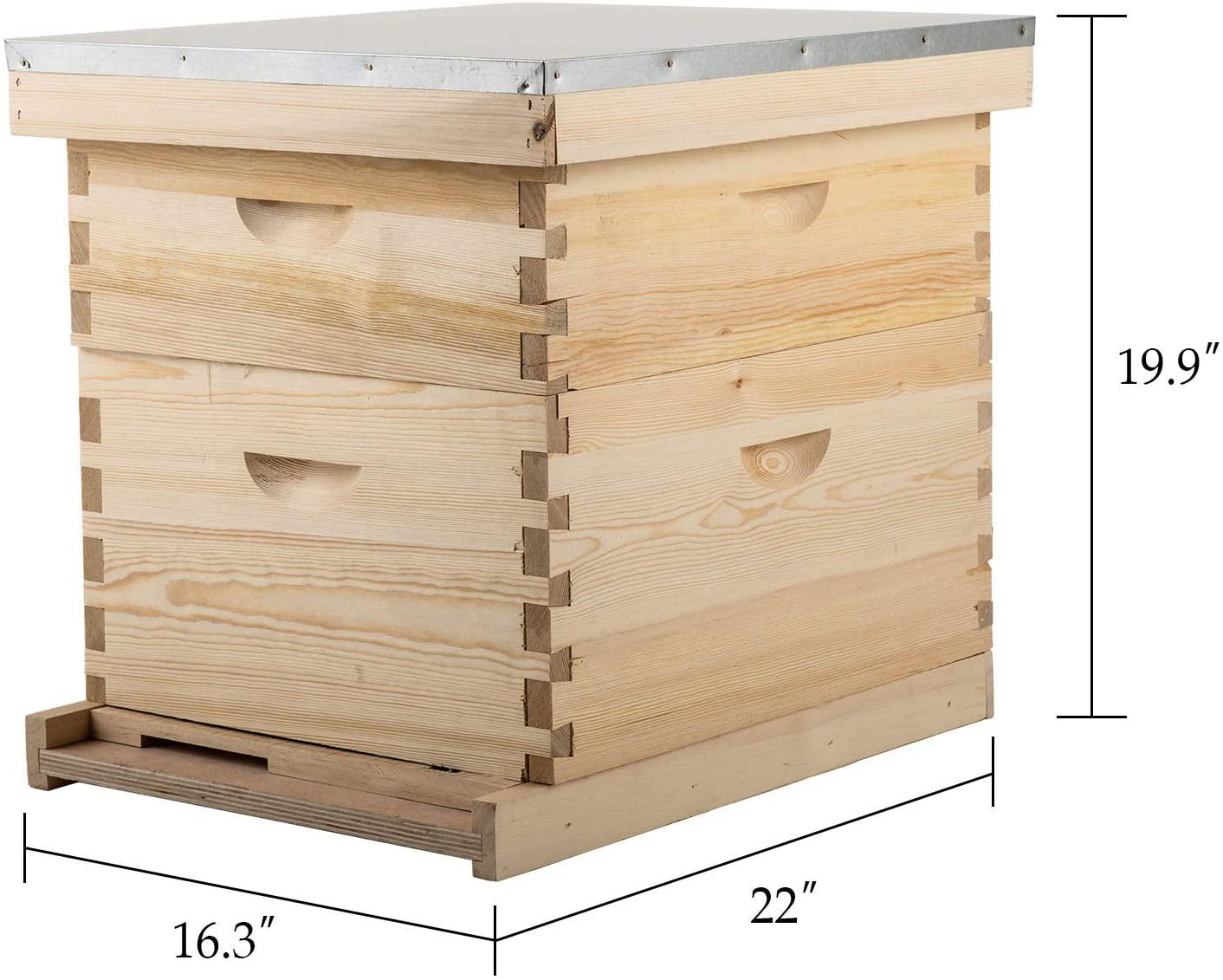 terradise bee hive, 2 layer honey bee hives, beekeeping supplies beehive kit with 10 medium 10 deep honeycomb foundation frames, bee house bee boxes for starter, wood complete honey beehives kit