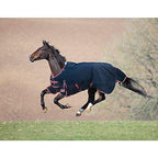 Shires StormBreaker 1200D 200G Turnout Blanket