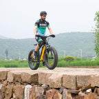 Adults Electric Bike 750W BaFang Motor Fat Tire Electric Mountain Bicycle Samsung 48V Lithium Battery  7-Speed Snow Beach E-Bike Dirt Bicycles