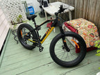 Adults Electric Bike 750W BaFang Motor Fat Tire Electric Mountain Bicycle Samsung 48V Lithium Battery  7-Speed Snow Beach E-Bike Dirt Bicycles