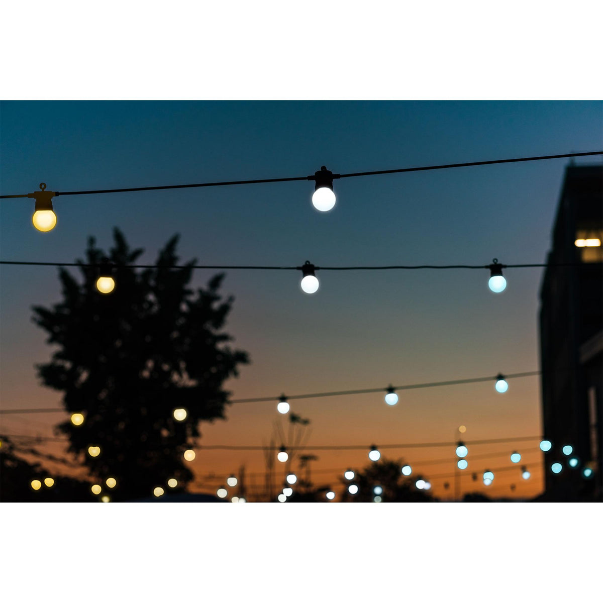 Twinkly Festoon Smart 40 AWW LED Bulb Lights, 66 Foot Black String, Gen II