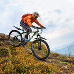 Mountain Bike, 21 Speeds Mountain Bicycle with Aluminum Frame Suspension Fork, 27.5 Inch Wheels Anti- Slip Bicycle, Derailleur System Mechanical Disc Brakes, Black Green