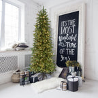 Fraser Hill Farm 9 Ft. Carmel Pine Slim Artificial Christmas Tree with Clear LED String Lighting