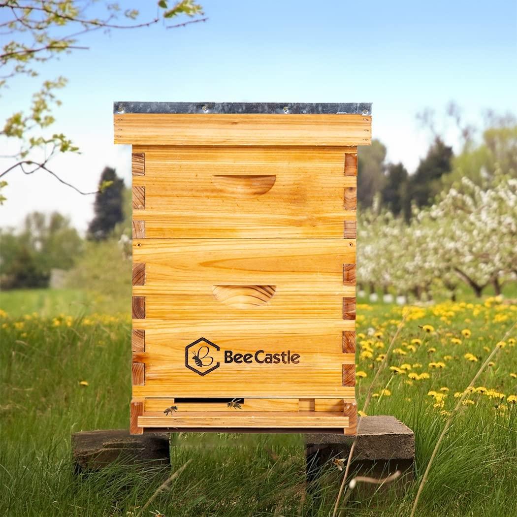 8 frame bee hive complete beehive kit, 100% beeswax coated bee hive includes frames and beeswax coated foundation sheet (2 layer)
