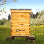 10-frames complete beehive kit, 100% beeswax coated bee hive includes frames and beeswax coated foundation sheet (2 layer)