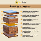 8 frame bee hive complete beehive kit, 100% beeswax coated bee hive includes frames and beeswax coated foundation sheet (2 layer)