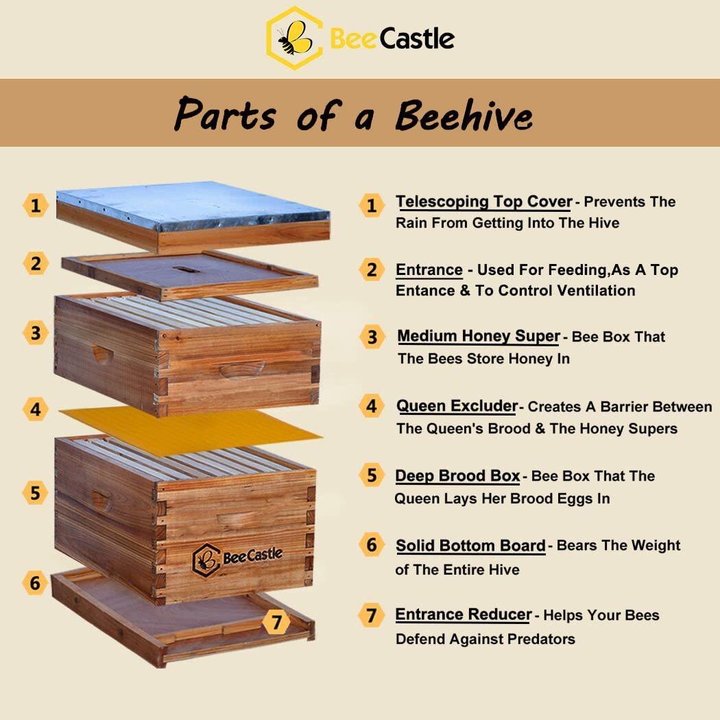 8 frame bee hive complete beehive kit, 100% beeswax coated bee hive includes frames and beeswax coated foundation sheet (2 layer)