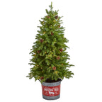 Brylanehome Christmas 54" Pre-Lit Tree In Metal Bucket, Green