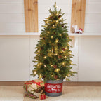 Brylanehome Christmas 54" Pre-Lit Tree In Metal Bucket, Green