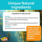 hive alive bee food supplement - natural honey bee liquid feed enhancer - organic beekeeping autumn spring feeding - lower winter mortality, improve colony health, honey production (2l, 200 hives)