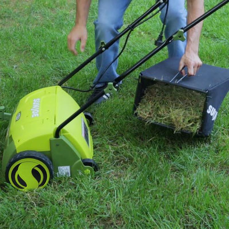 AJ801E Electric Lawn Dethatcher W/ Collection Bag, 13 Inch, 12 Amp, Scar