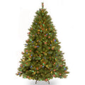 National Tree Company Multi-color Prelit Incandescent Green Full Christmas Tree, 7.5'