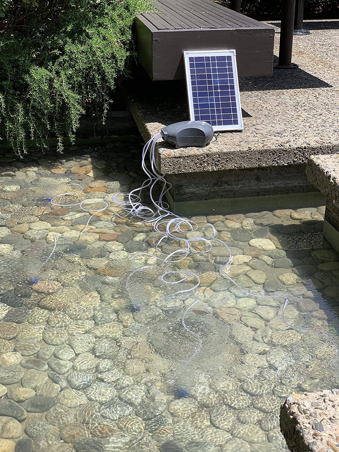solariver solar pond aerator, dc brushless air pump, 10 watt solar panel, 5 air stones, sun powered oxygenation for fish ponds, aquaculture, hydroponic, bubbleponics, bait tank