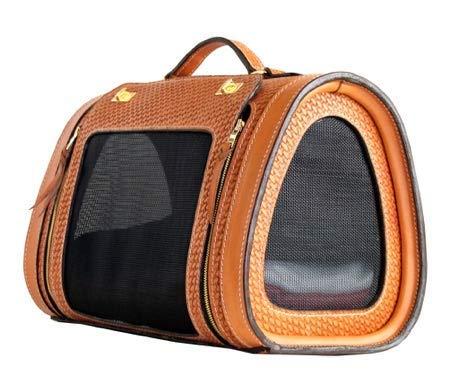 Becky Winston Woven Leather Pet Carrier