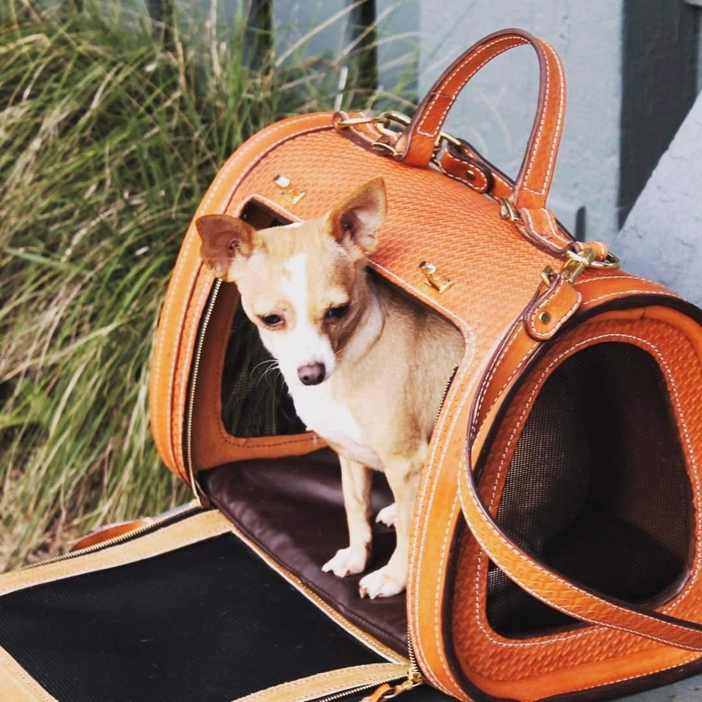 Becky Winston Woven Leather Pet Carrier