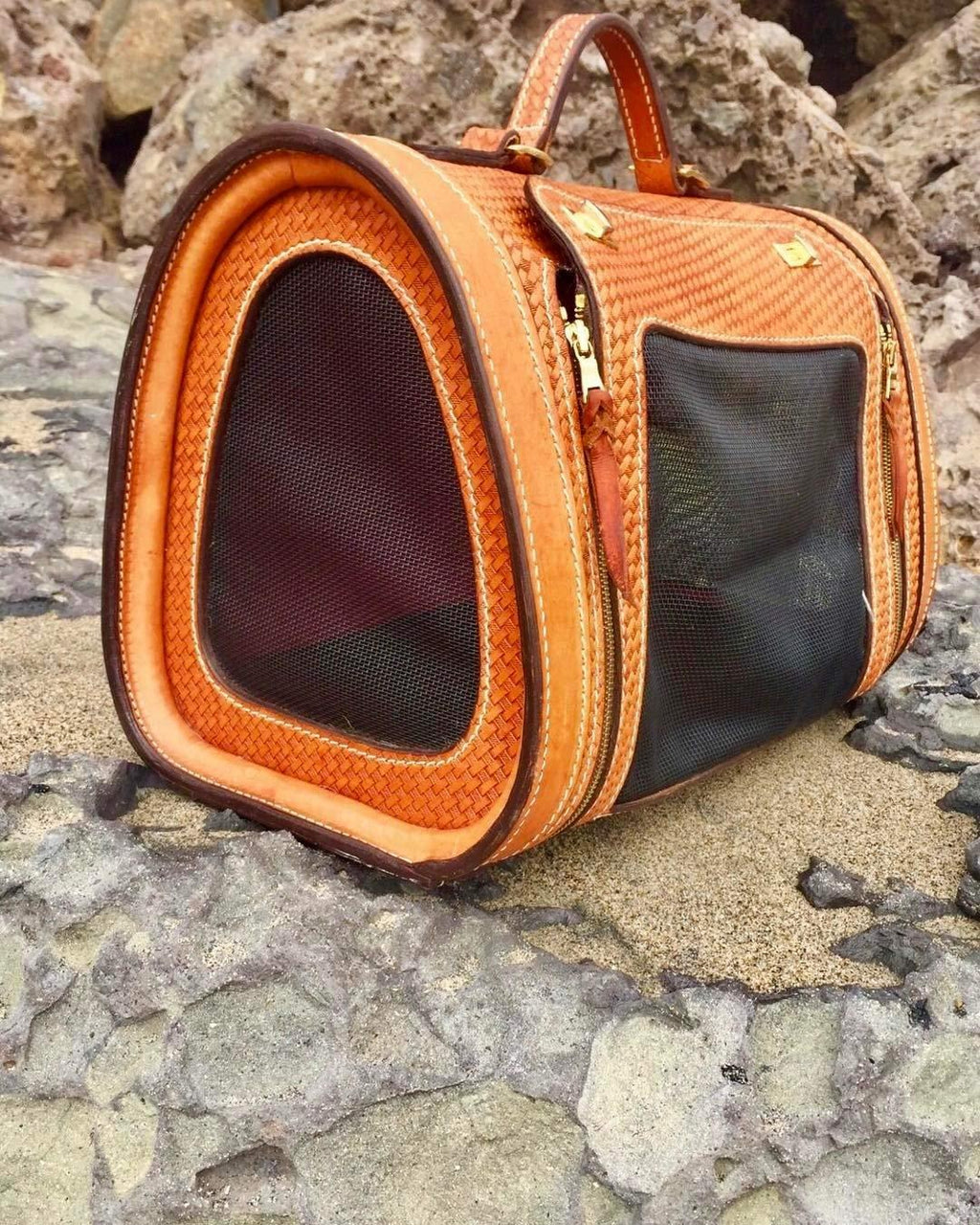 Becky Winston Woven Leather Pet Carrier