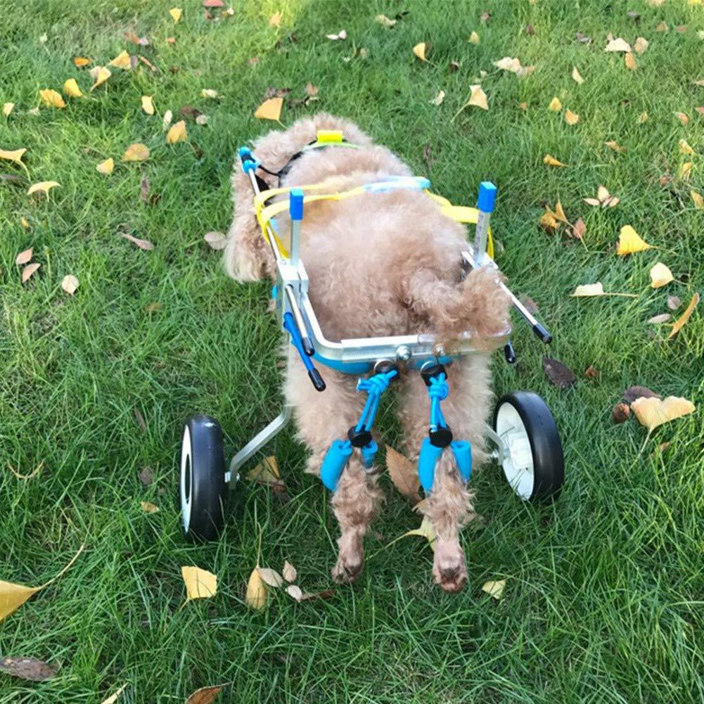 Pet Wheelchair, Aluminum Alloy Pet Wheelchair Adjustable Rehabilitation Training Scooter for Disabled Dog