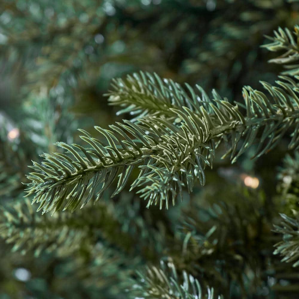 9 ft Ashton Balsam Fir LED Christmas Tree