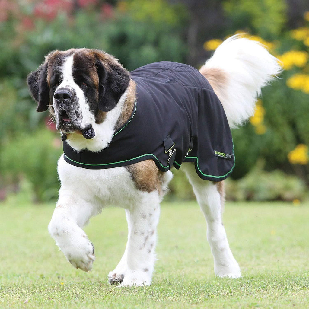 Sportz-Vibe Dog Blanket XX-Large