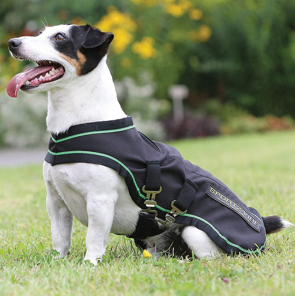 Sportz-Vibe Dog Blanket XX-Large