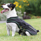Sportz-Vibe Dog Blanket XX-Large