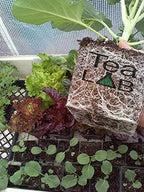 complete compost tea brewer kit : 5 gallon : bubbles other brewers out of the water