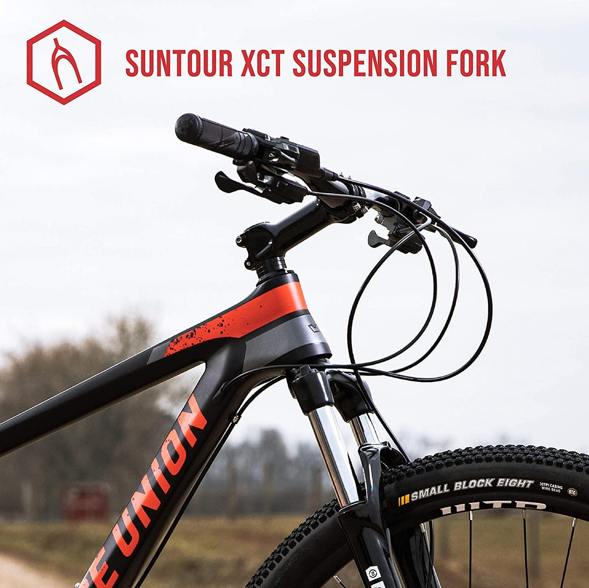 Royce Union Lightweight Carbon Men's Mountain Bike, Matte Black, 29 inch Wheels / 19 inch Frame (76149)