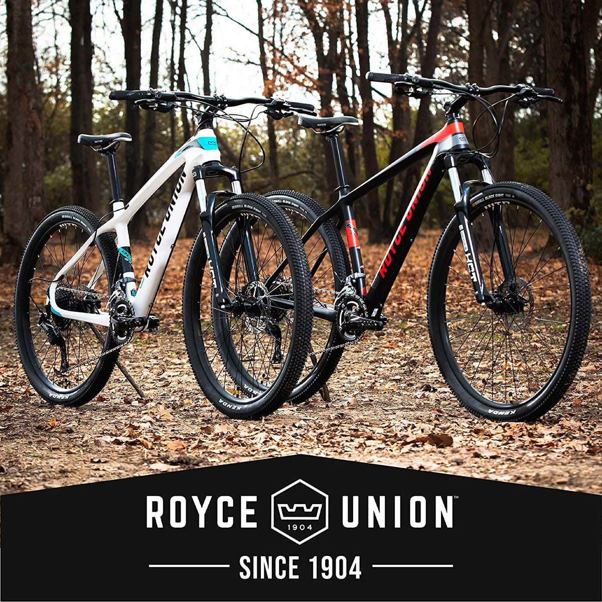 Royce Union Lightweight Carbon Men's Mountain Bike, Matte Black, 29 inch Wheels / 19 inch Frame (76149)