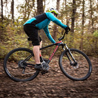 Royce Union Lightweight Carbon Men's Mountain Bike, Matte Black, 29 inch Wheels / 19 inch Frame (76149)