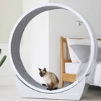 PETRING PET Wheel for Pet All-in-One Laser Pointer Exercise Play ABS Material