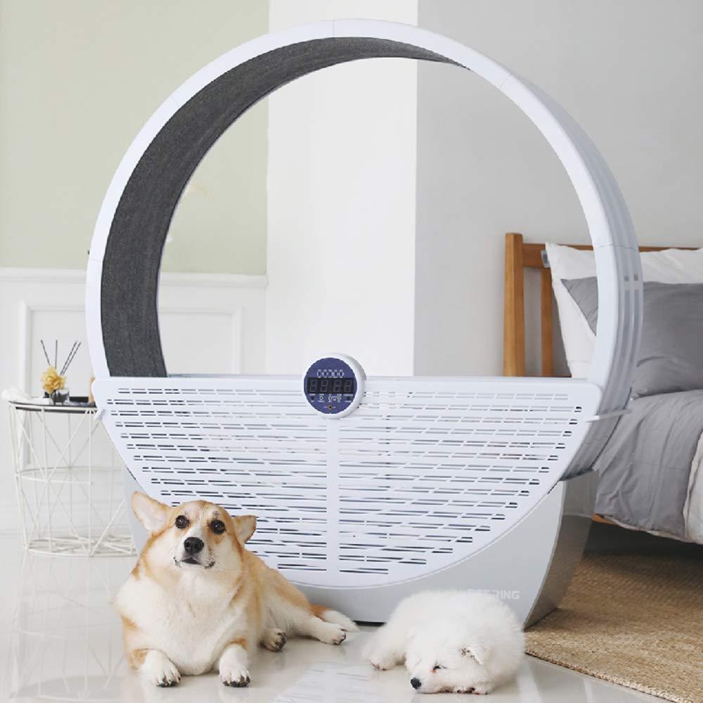 PETRING PET Wheel for Pet All-in-One Laser Pointer Exercise Play ABS Material