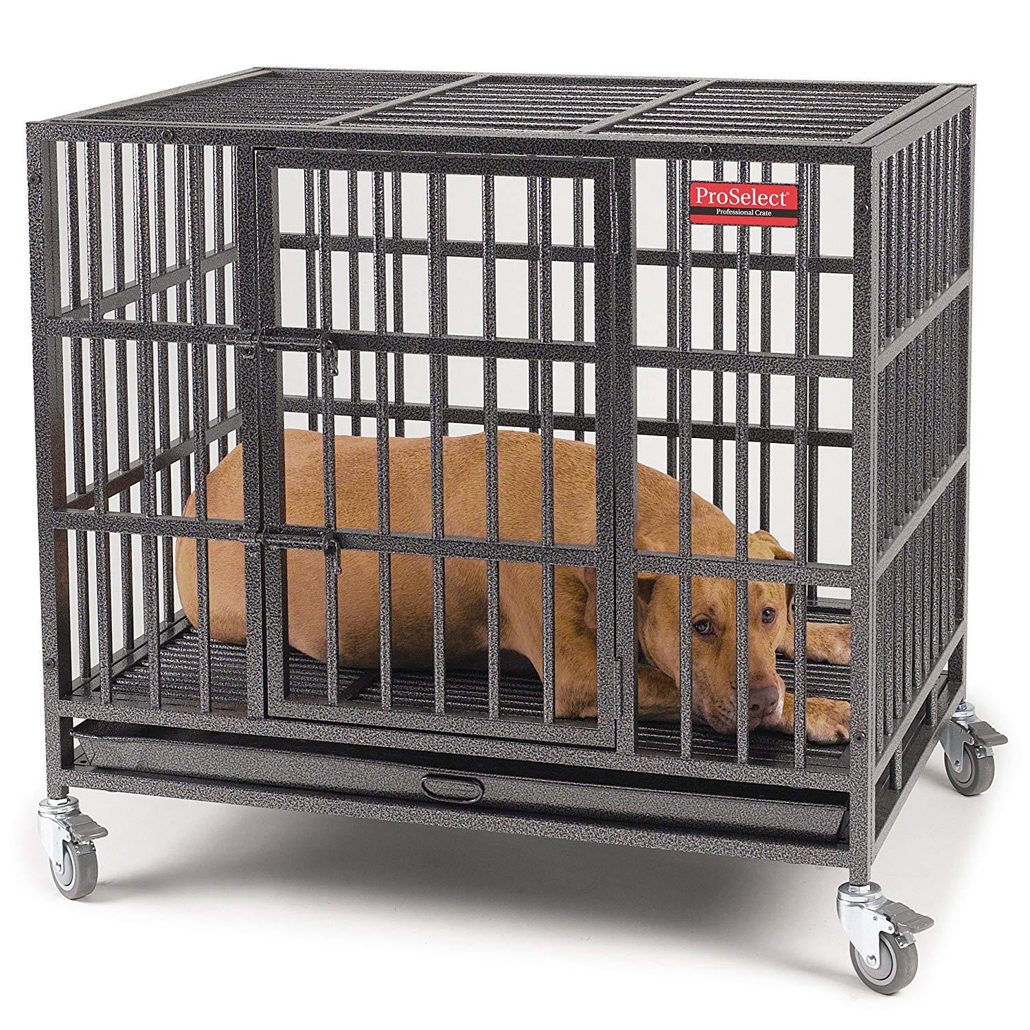 ProSelect  Dog Cage