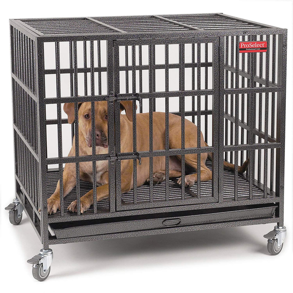 ProSelect  Dog Cage