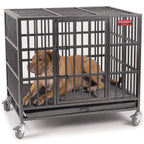 ProSelect  Dog Cage