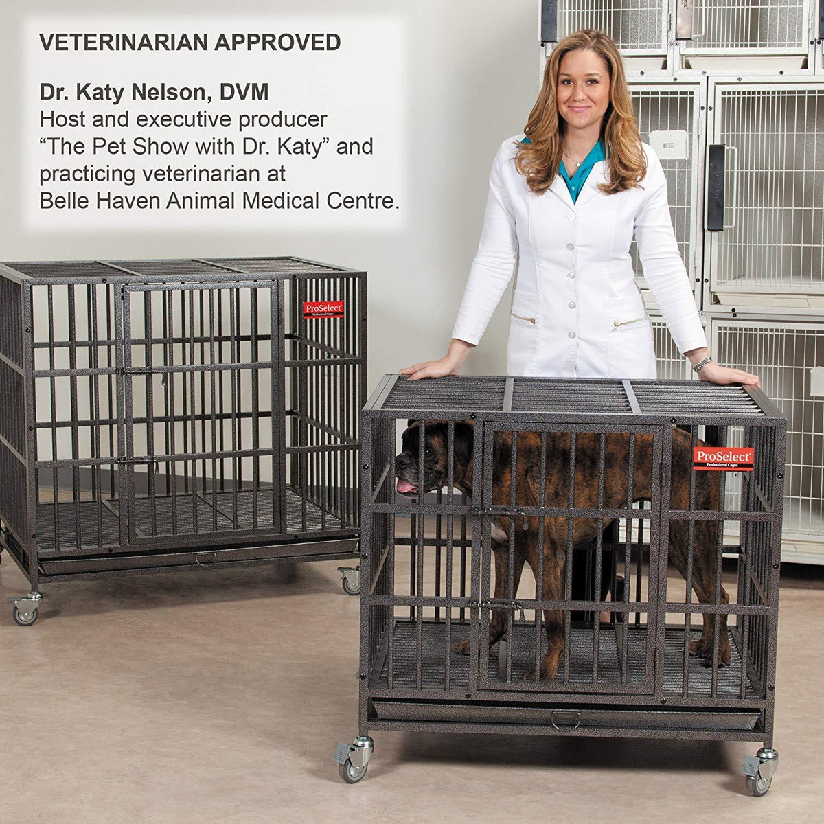 ProSelect  Dog Cage