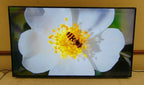 amazon - 55" class 4-series 4k uhd smart fire tv