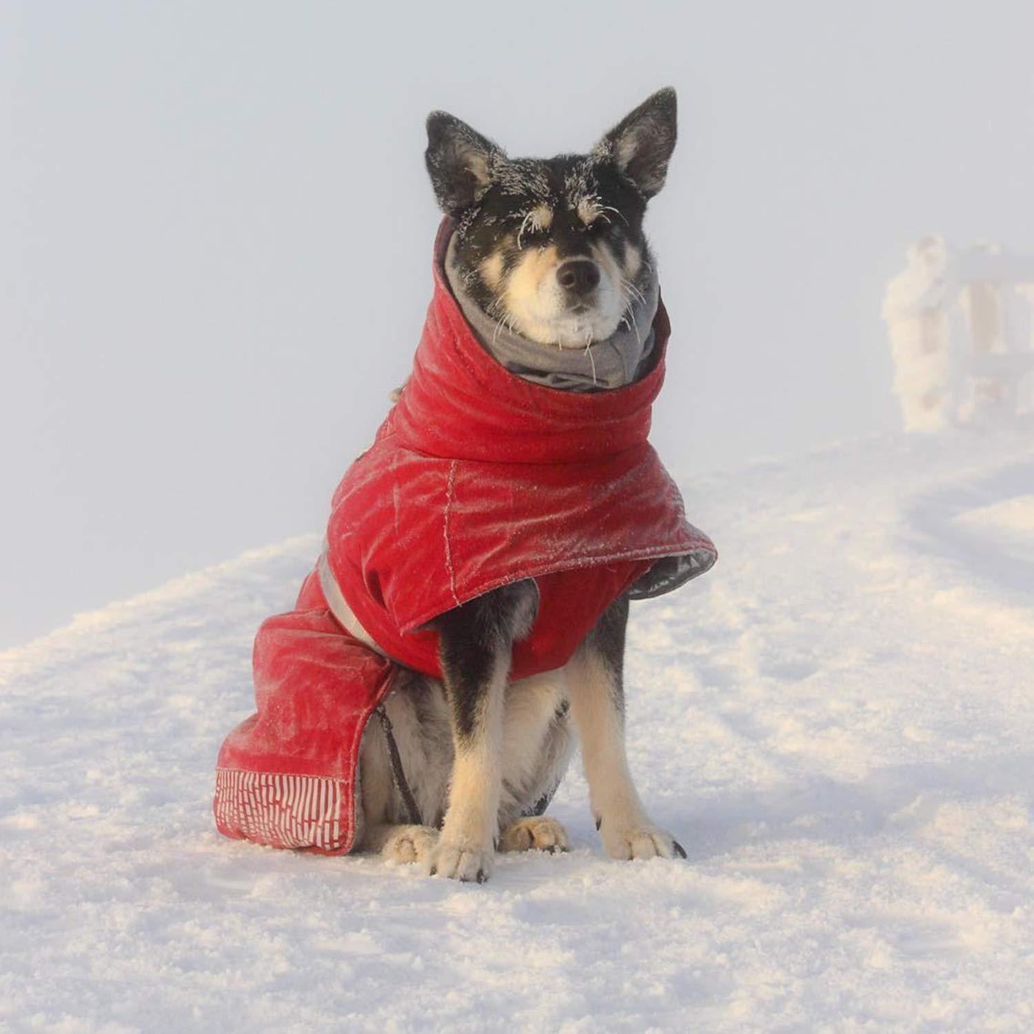 Hurtta Extreme Warmer Dog Winter Jacket