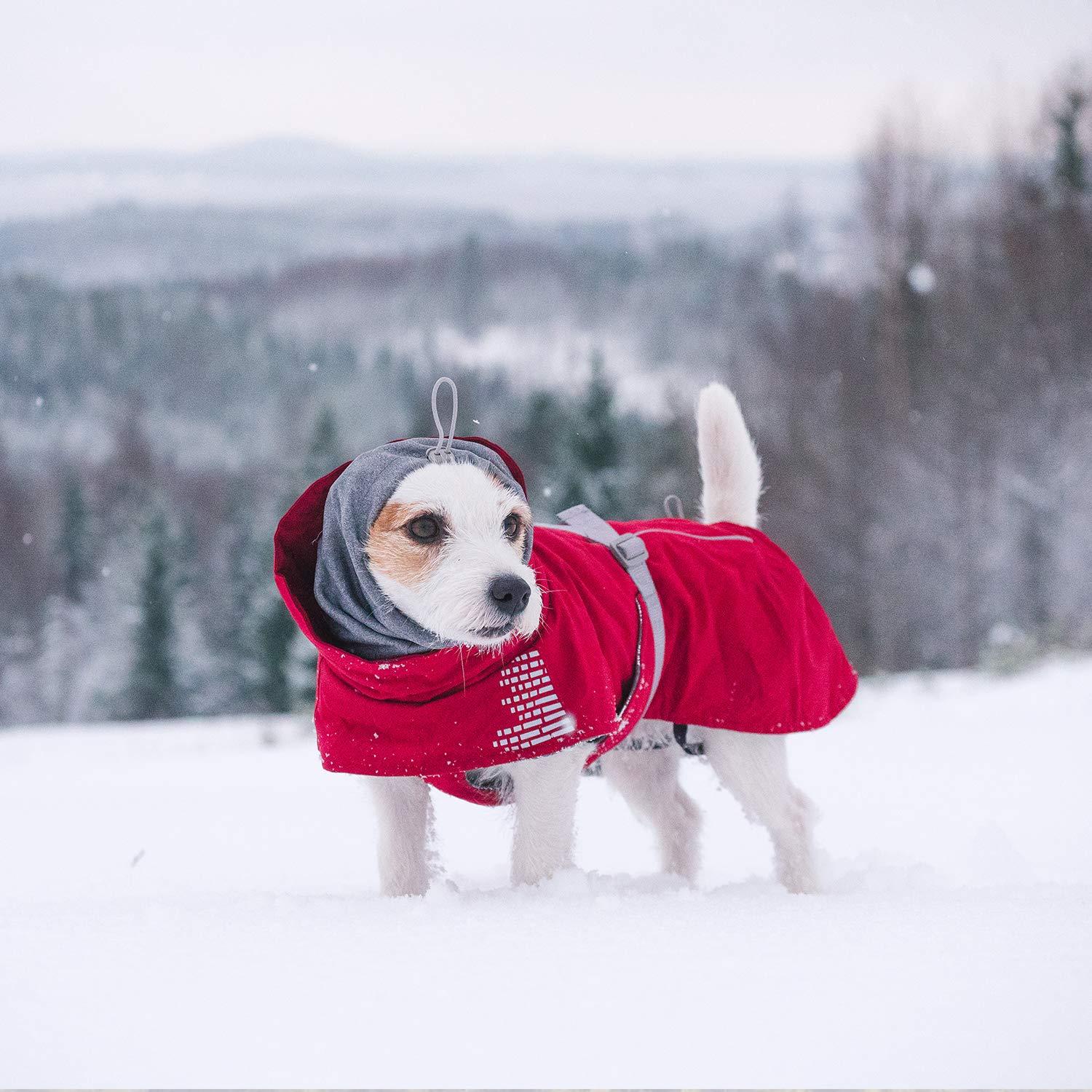 Hurtta Extreme Warmer Dog Winter Jacket