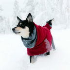 Hurtta Extreme Warmer Dog Winter Jacket