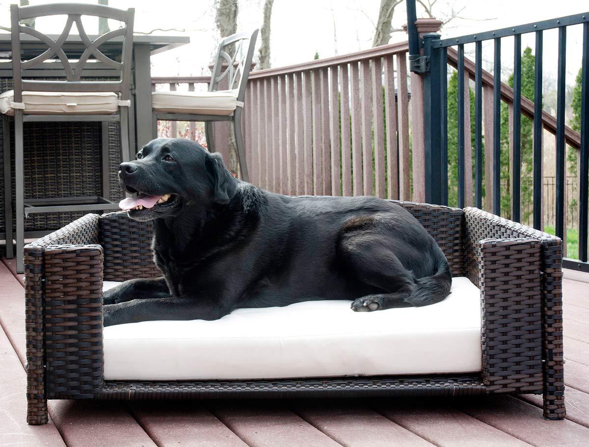 Iconic Pet Rectangular Rattan / Wicker Pet Bed in Varying Sizes  Metal Framed Indoor / Outdoor Furniture for Dogs / Cats Made of Pliable Rattan, Easy to Clean, Water Resistant Cushion Cover