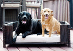 Iconic Pet Rectangular Rattan / Wicker Pet Bed in Varying Sizes  Metal Framed Indoor / Outdoor Furniture for Dogs / Cats Made of Pliable Rattan, Easy to Clean, Water Resistant Cushion Cover