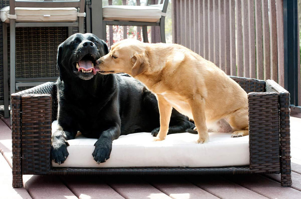 Iconic Pet Rectangular Rattan / Wicker Pet Bed in Varying Sizes  Metal Framed Indoor / Outdoor Furniture for Dogs / Cats Made of Pliable Rattan, Easy to Clean, Water Resistant Cushion Cover