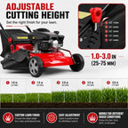 3 in 1 Self Propelled Gas Lawn Mower, 131cc 4-Stroke Engine with 50L Grass Bag &amp; Big Wheels, 3-in-1 Mulching/Side Discharge/Rear Bag, Push Button Start for Medium to LarLawns Red