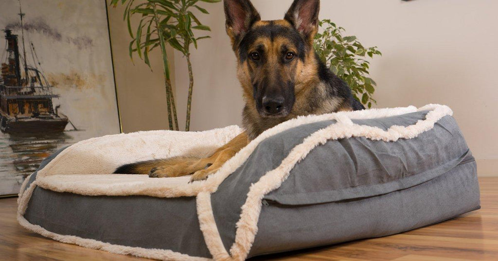 K9 Ballistics Luxury Orthopedic Memory Foam Bolstered Dog Bed Waterproof Liner